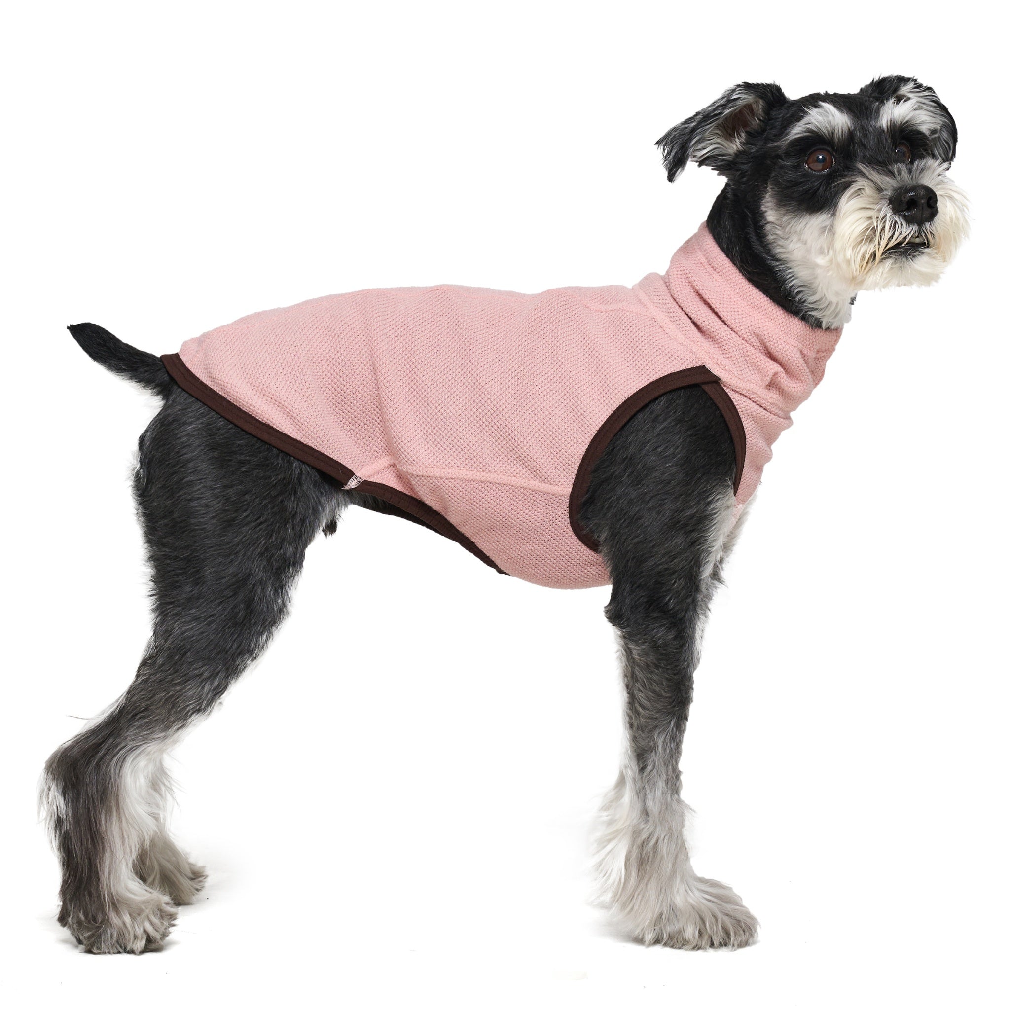 Rear three-quarter view of a Miniature Schnauzer sitting down, highlighting the tailored back fit and dark brown trim around the hem of the pink Merlot Shelter Layer dog coat.