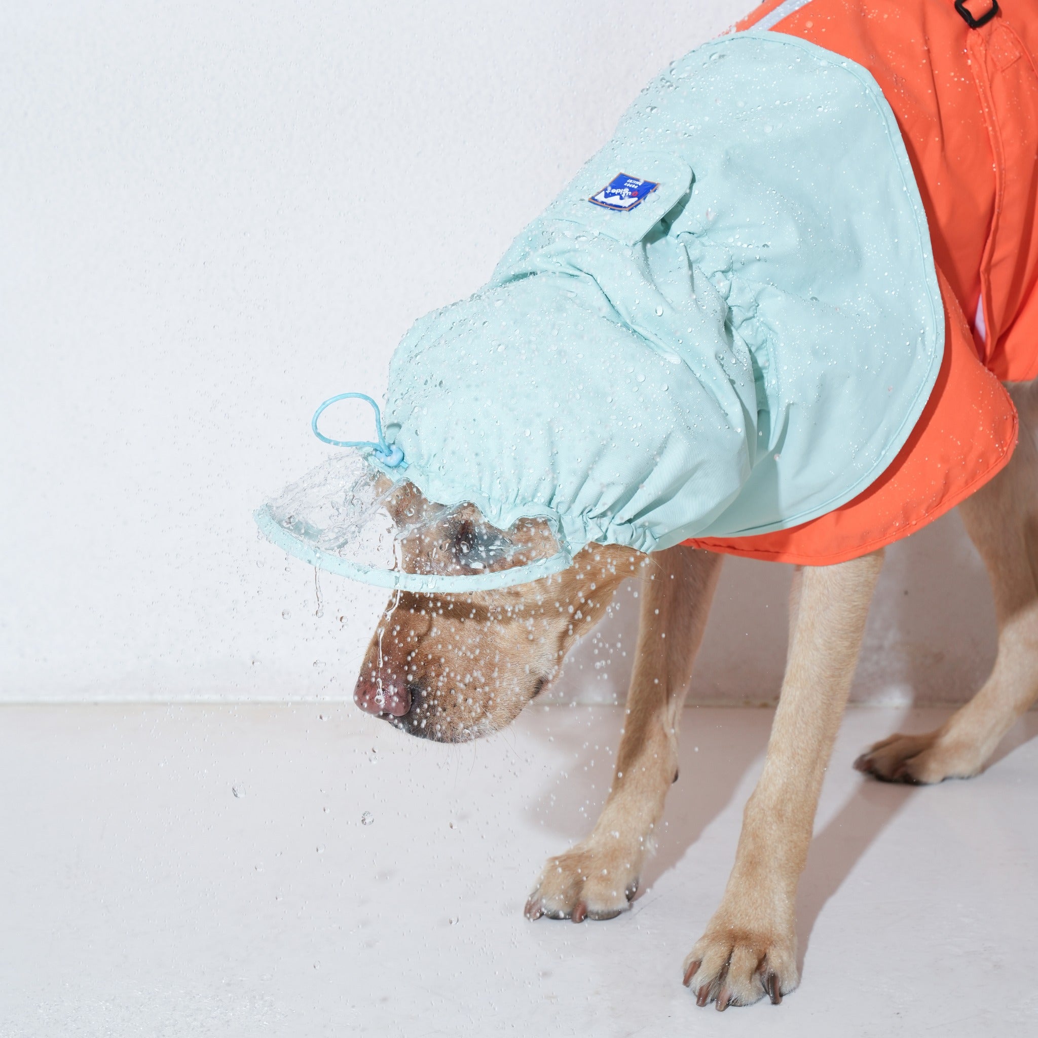 Action shot of water splashing over a dog wearing the mint green hood extension, highlighting the protective clear plastic waterproof visor brim.