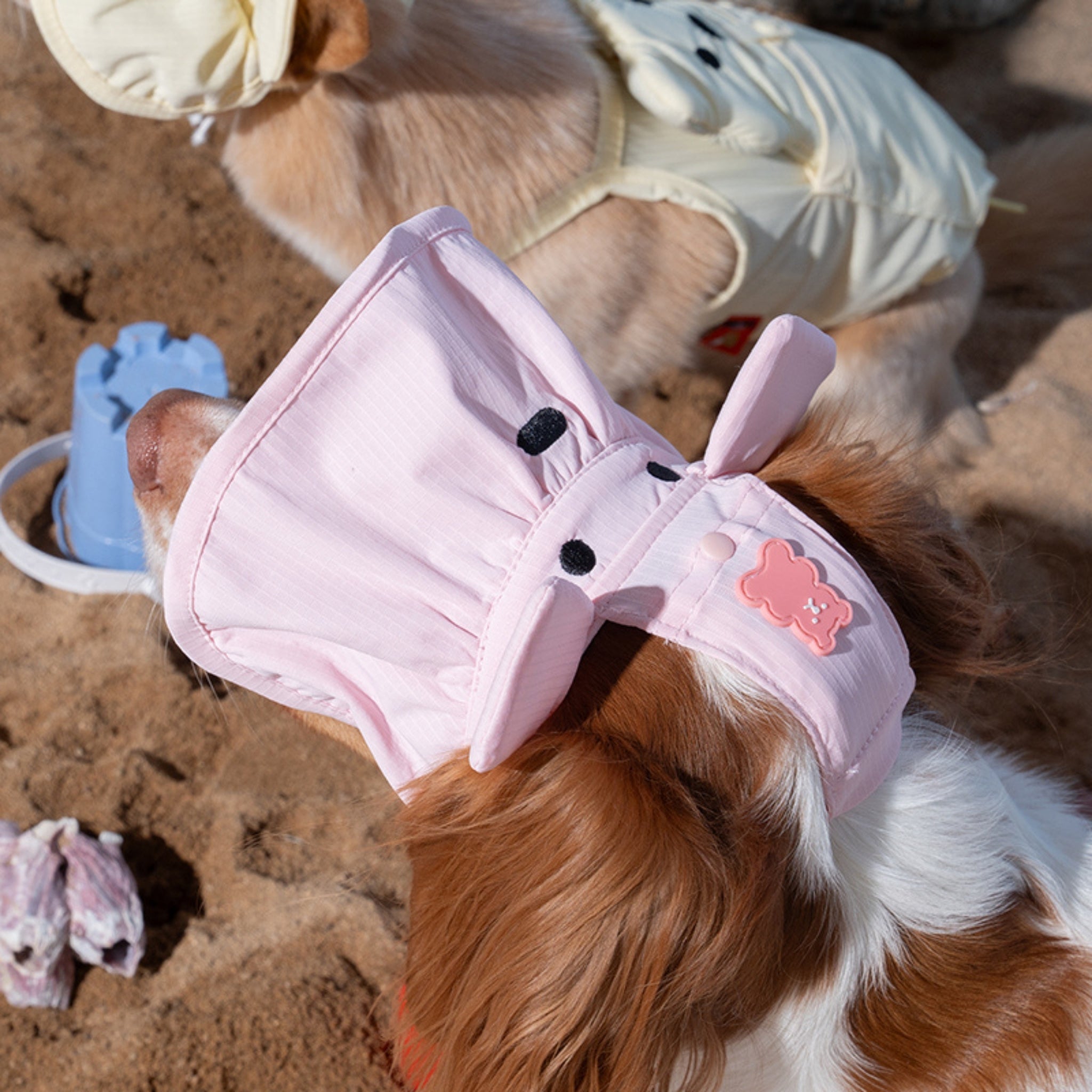 Close-up overhead shot of a dog wearing the baby pink cooling pet visor on the beach, highlighting the elastic ear placement holes and stitched bear eyes and nose details on the brim.