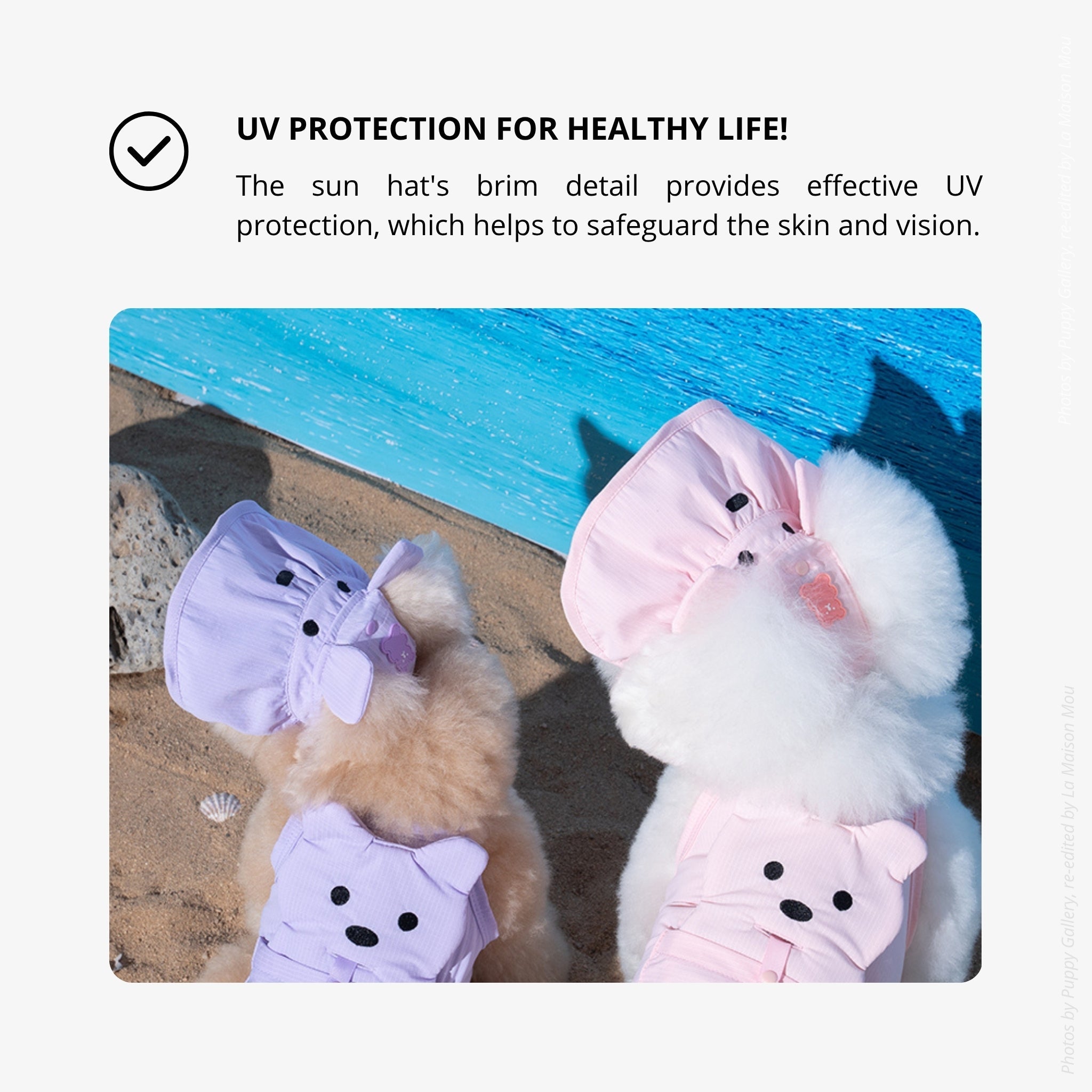 An infographic explaining the UV protection health benefits of the wide-brim sun visor, featuring a close-up rear view of two small white dogs wearing the pink and lavender hats on a sandy beach.