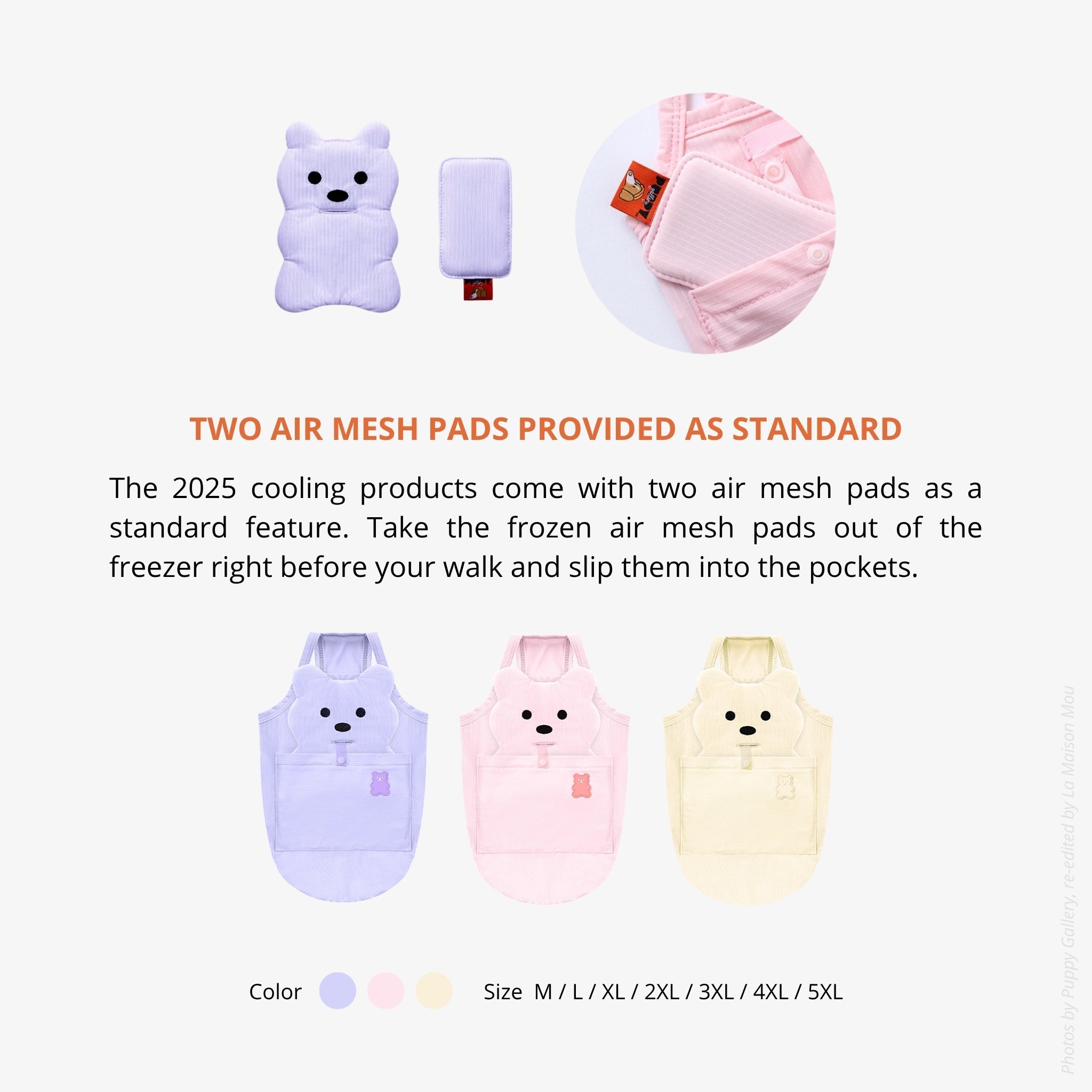 An overview infographic showcasing the removable bear-shaped inner pads alongside the lavender, pink, and yellow color variations available for sizes M through 5XL.