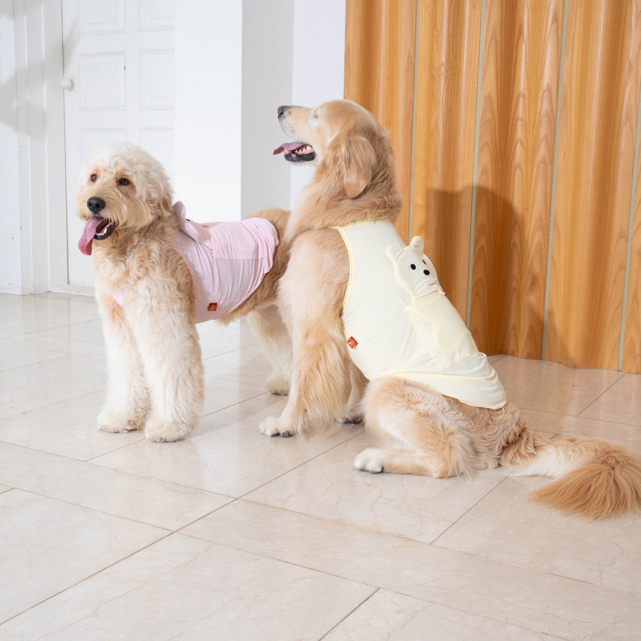 Two large dogs posing indoors together, one standing in a pink cooling shirt and the other sitting in the lemonade yellow bear-themed dog tank top.