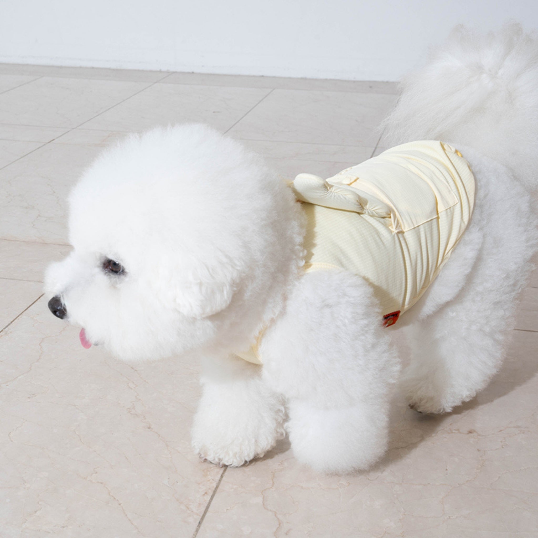 Side profile view of a fluffy white Bichon Frise dog walking on a tiled floor while wearing the lemonade yellow Puppy Gallery summer cooling vest.