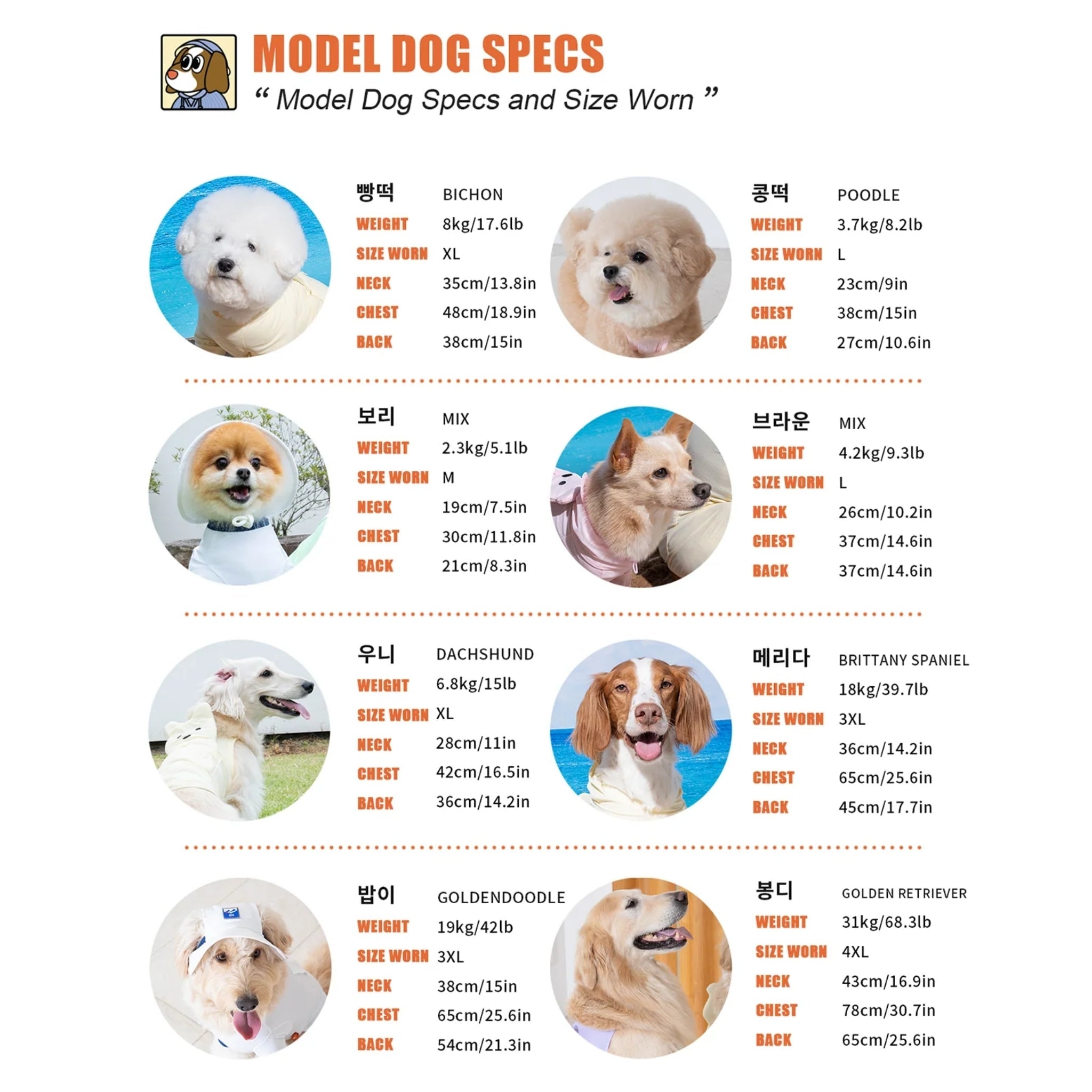 A dog model measurement specifications chart for the Puppy Gallery summer cooling vest line, showcasing dimensions and sizes worn by various dog breeds from small to large.