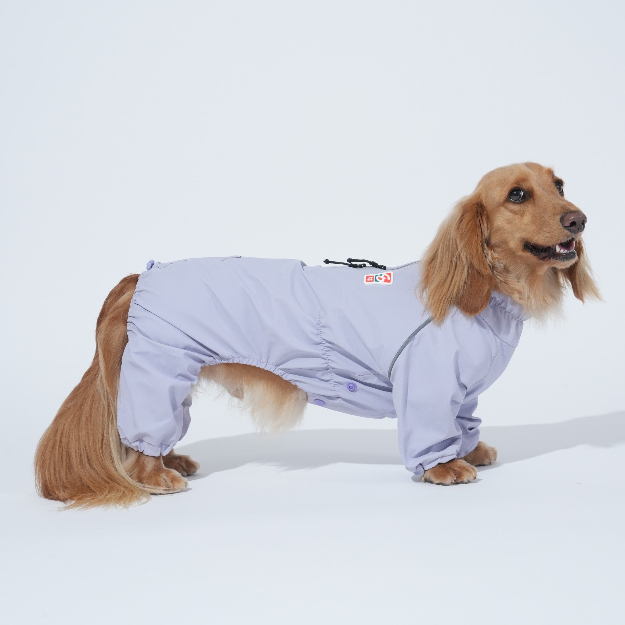 Side profile of a long-haired dachshund standing up to showcase the custom fit and full underbelly protection of the lavender Puppy Gallery weather suit for short-legged breeds.