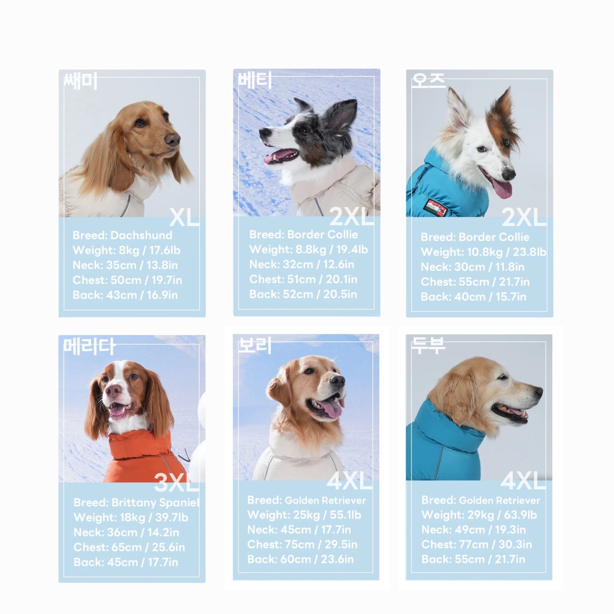 A model size reference chart for medium to large dog breeds featuring a long-haired Dachshund, Border Collies, a Brittany Spaniel, and Golden Retrievers wearing the puffer vest across sizes XL to 4XL.