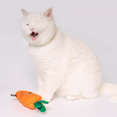 Jouets à L'Herbe Pour Chat Matatabi Carotte