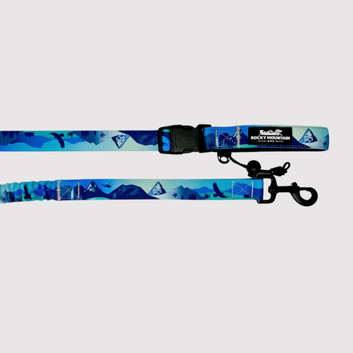 Dog Leash - Kootenay All Mountain Winter