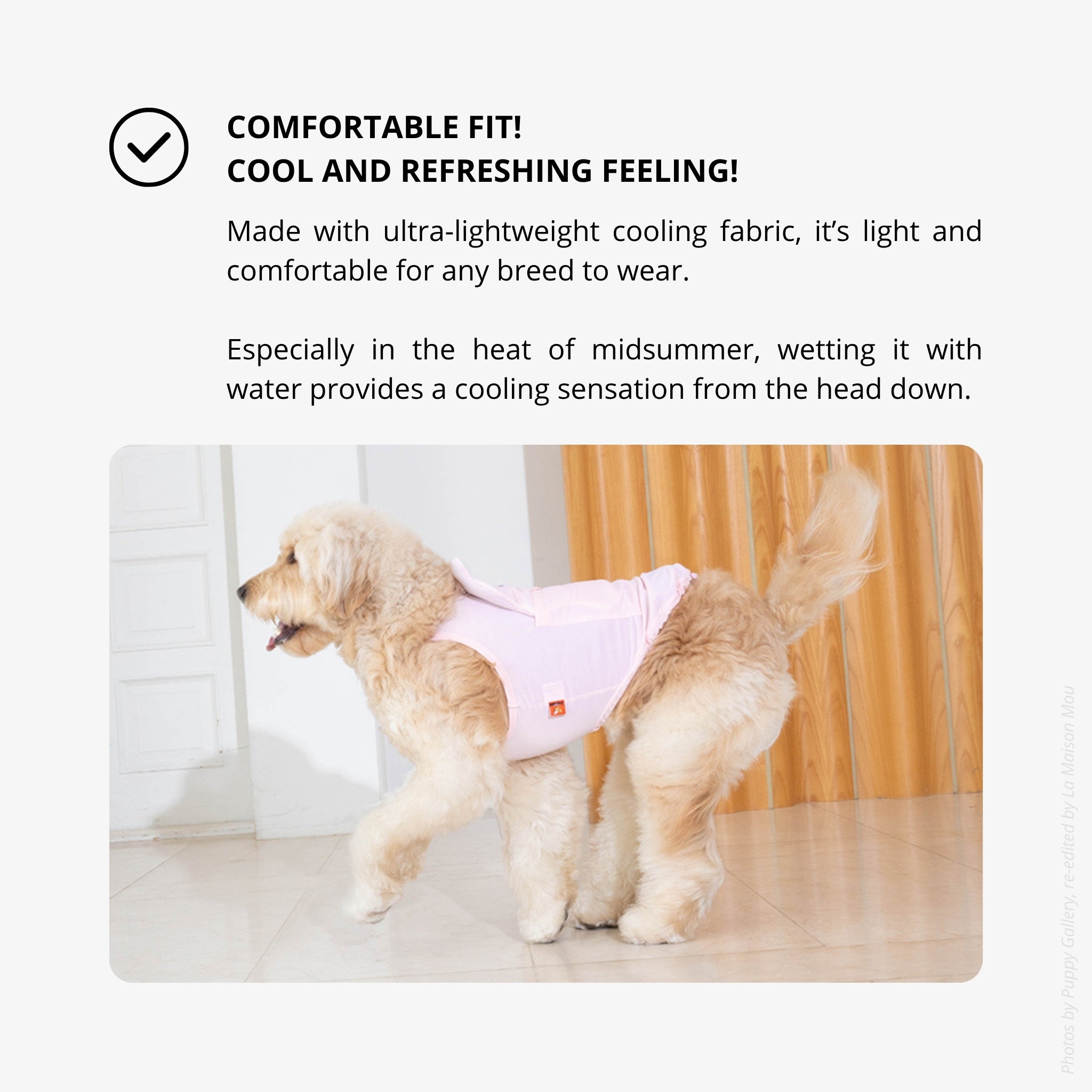 Dog Cooling Tank Top – Big Bear Lavender