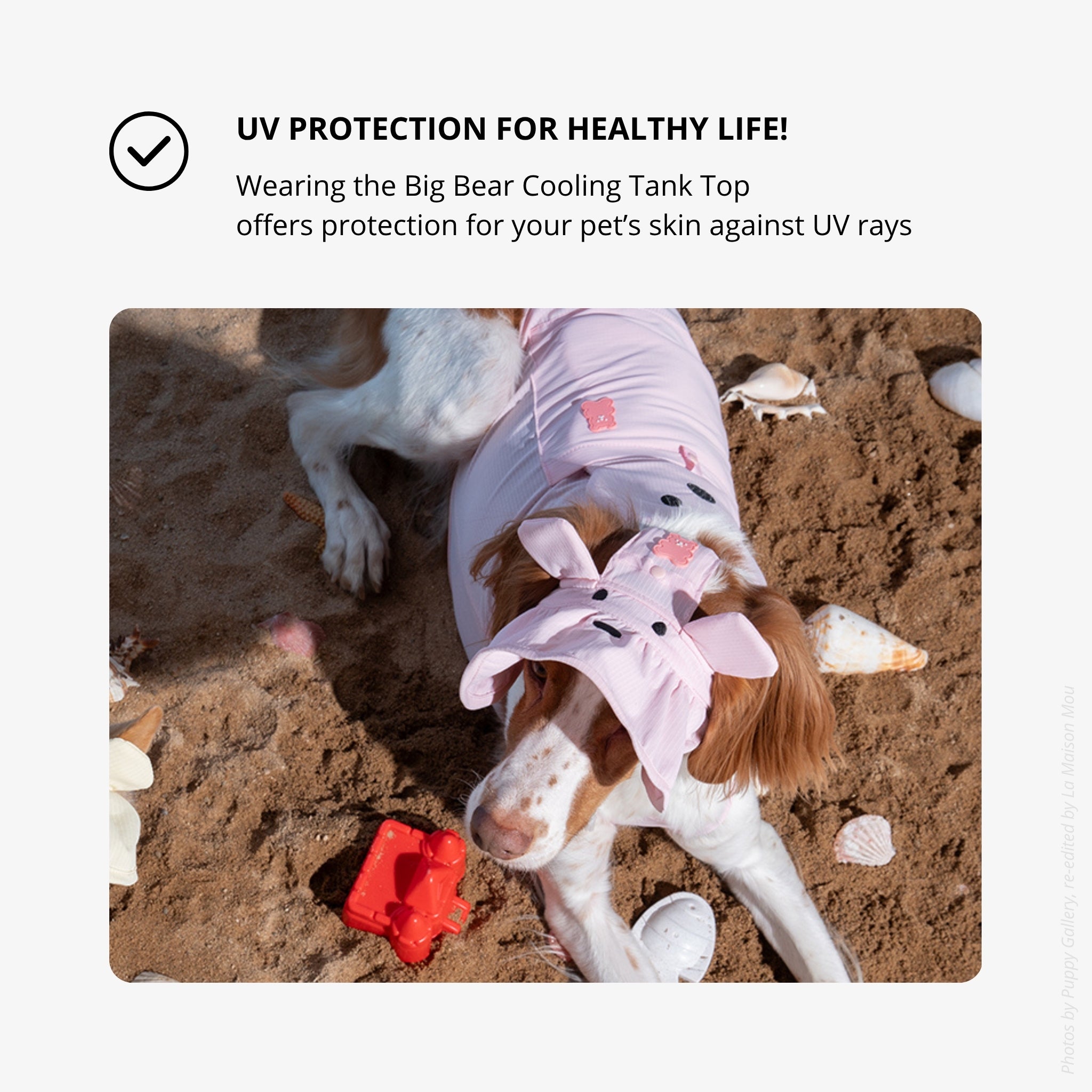 Dog Cooling Tank Top – Big Bear Lavender