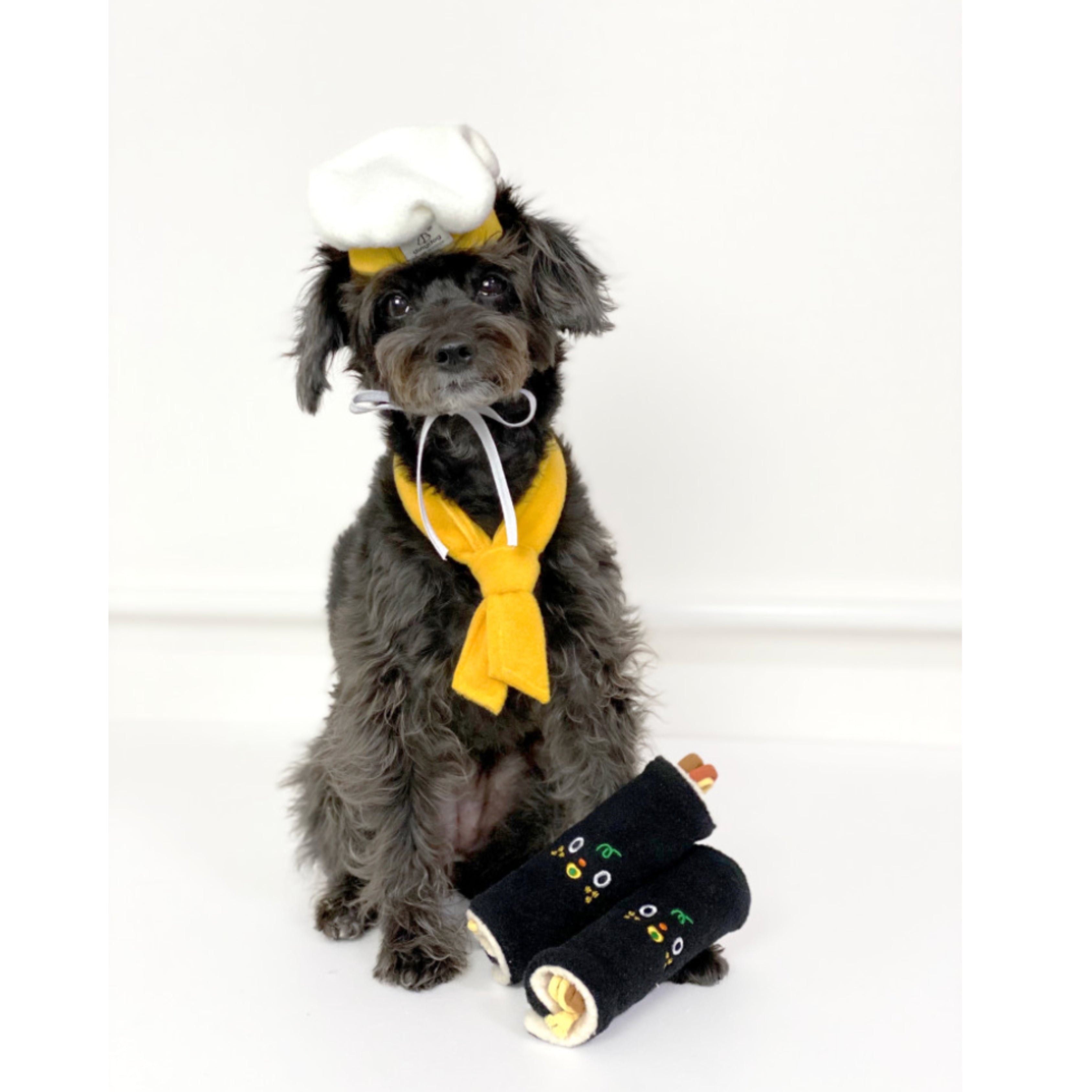 Hat & Scarf Set For Dogs