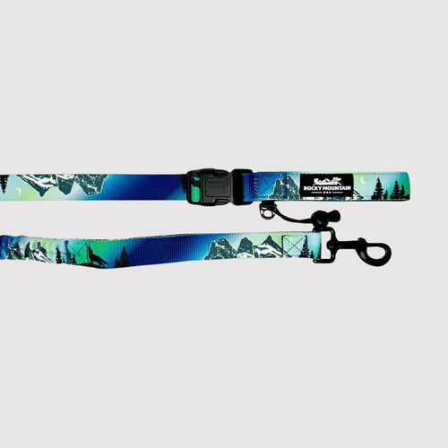 Dog Leash - Canmore All Mountain Northern Lights