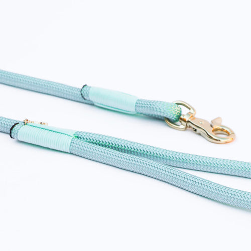 Laisse Corde Tressée Aqua Pour Chien