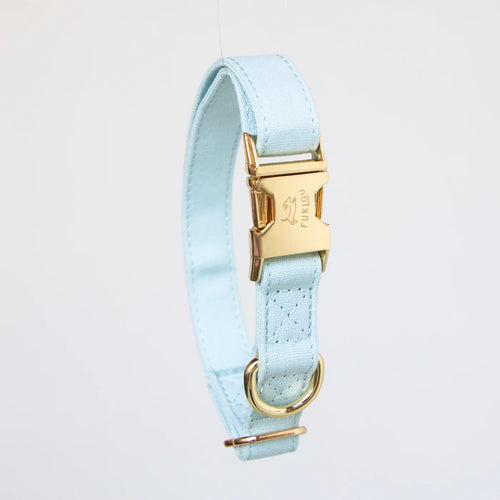 Collier Bleu Pastel Pour Chien
