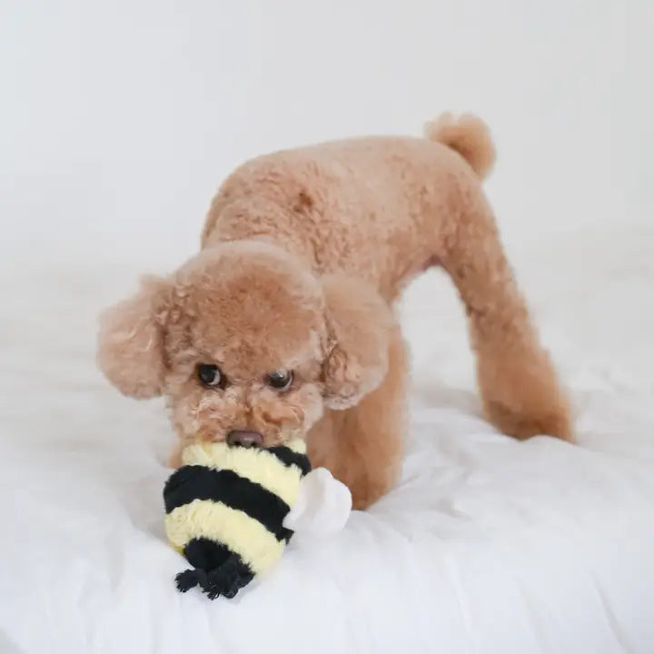 Bee Pop Enrichment Dog Toy