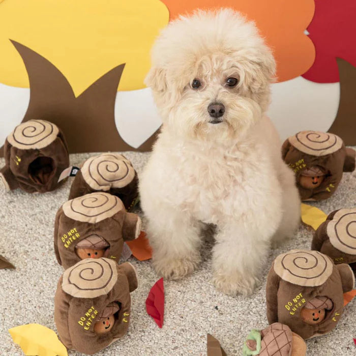 Small dog sitting among plush log toys with acorn characters, ideal for nosework play