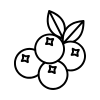 Cranberries icon