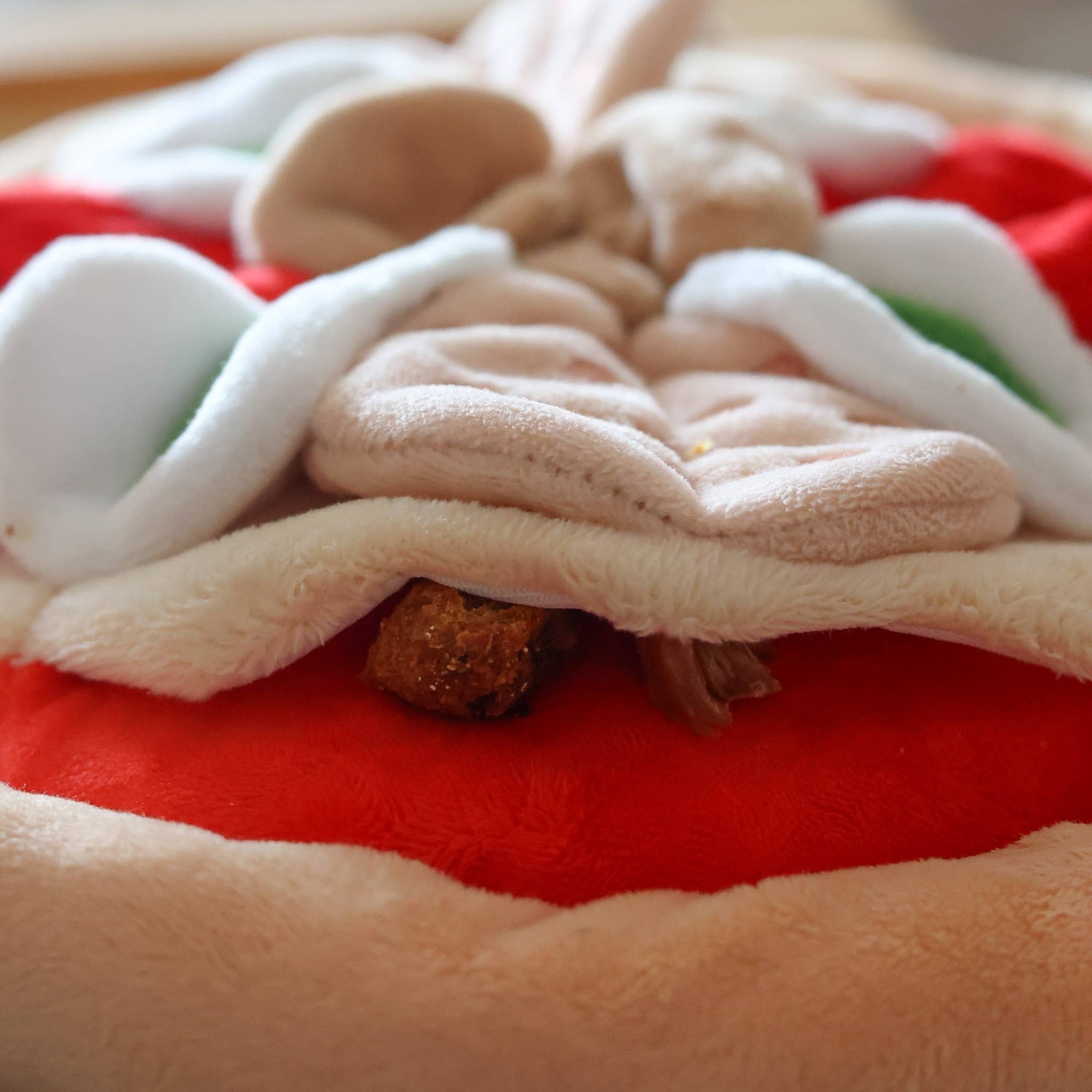Macro shot showing a high-value treat hidden inside the deep fabric pocket of a dog foraging mat to encourage natural sniffing instincts and mental focus.