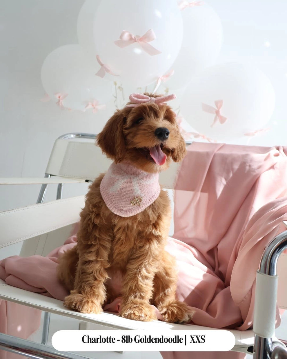 The Forever Tied Blush Bandana For Dogs