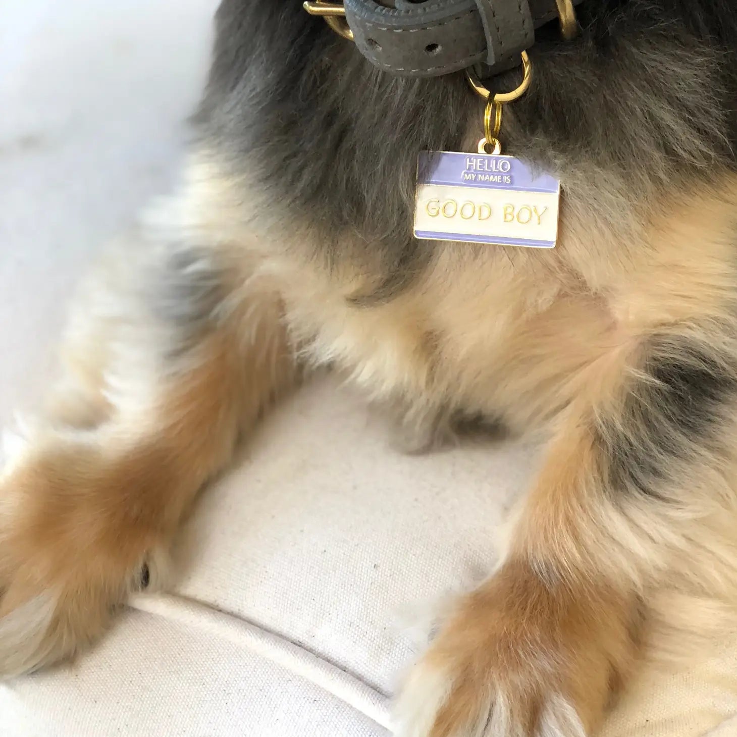 Pet Tag "Good Boy"