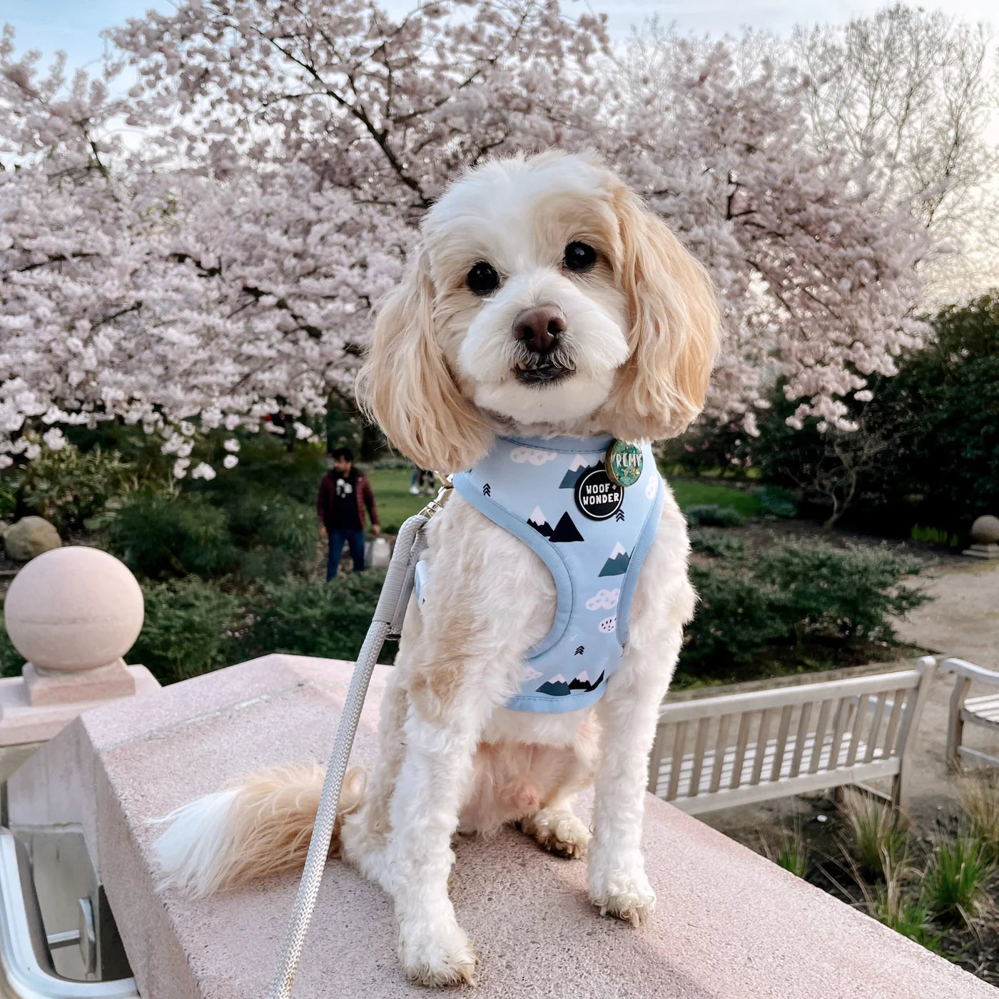 Grey - Braided Rope Leash For Dogs