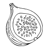 Illustration of a fig with a black outline on a white background