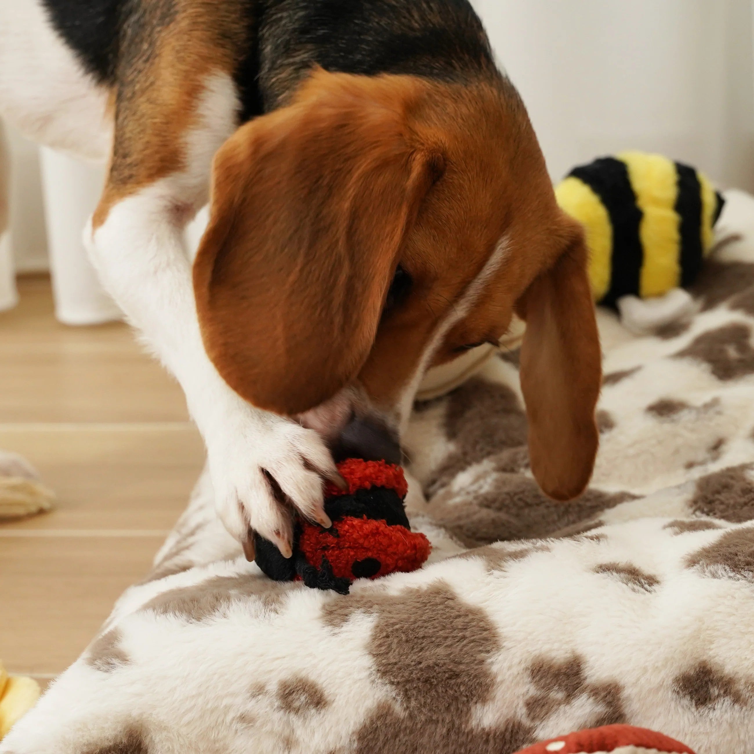 Ladybug Pop Enrichment Dog Toy