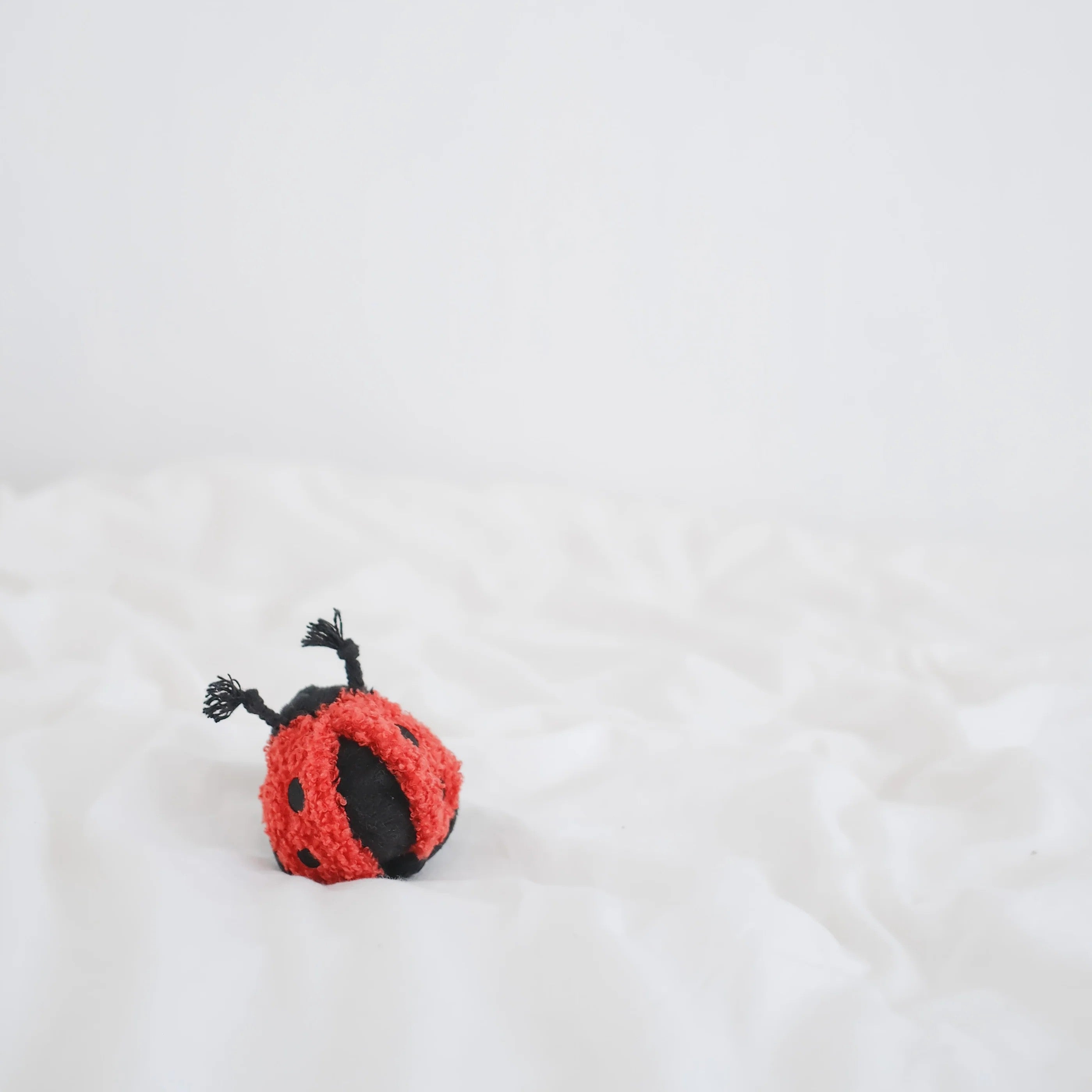 Ladybug Pop Enrichment Dog Toy