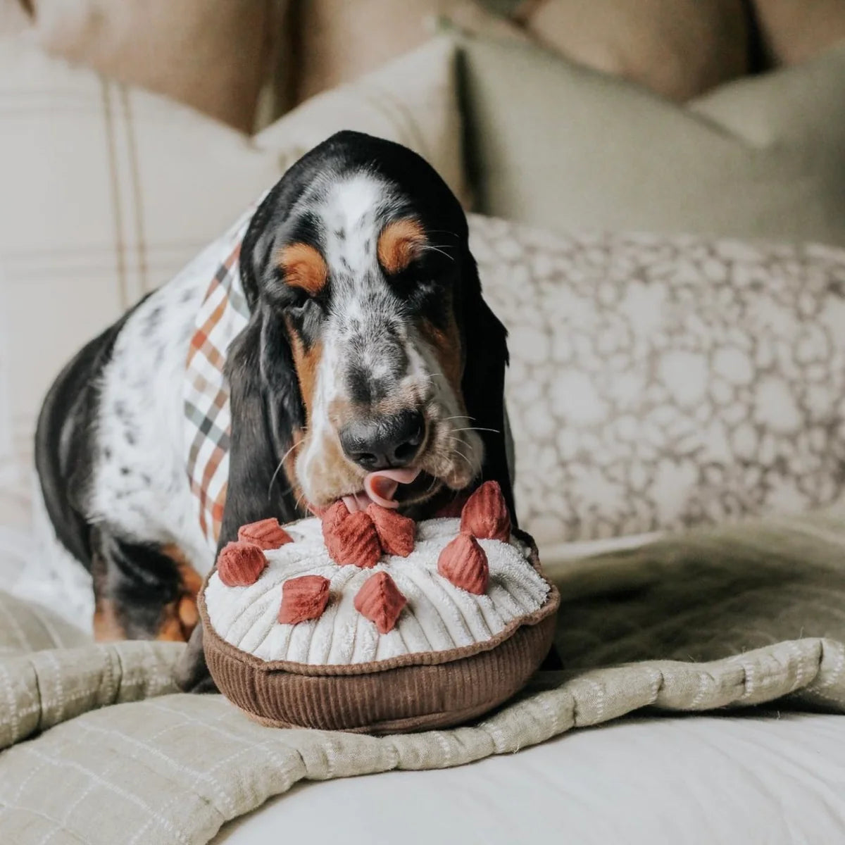 Berry Pie Enrichment Dog Toy