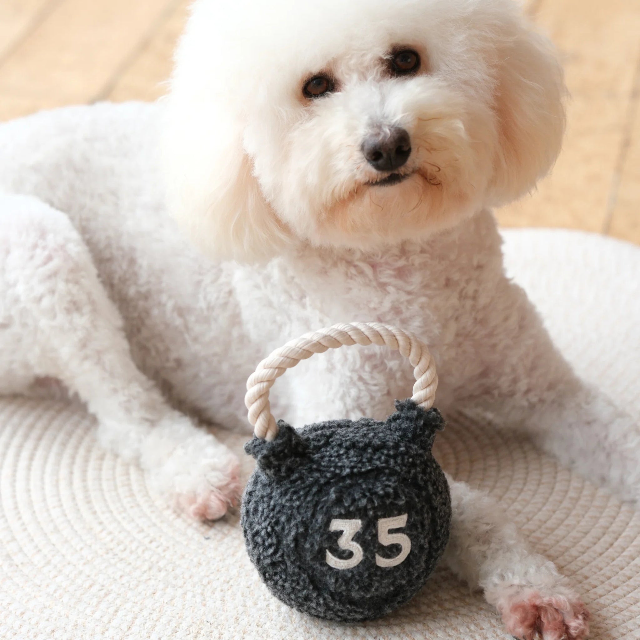 White dog with Lambwolf Collective Kettlebell plush dog toy
