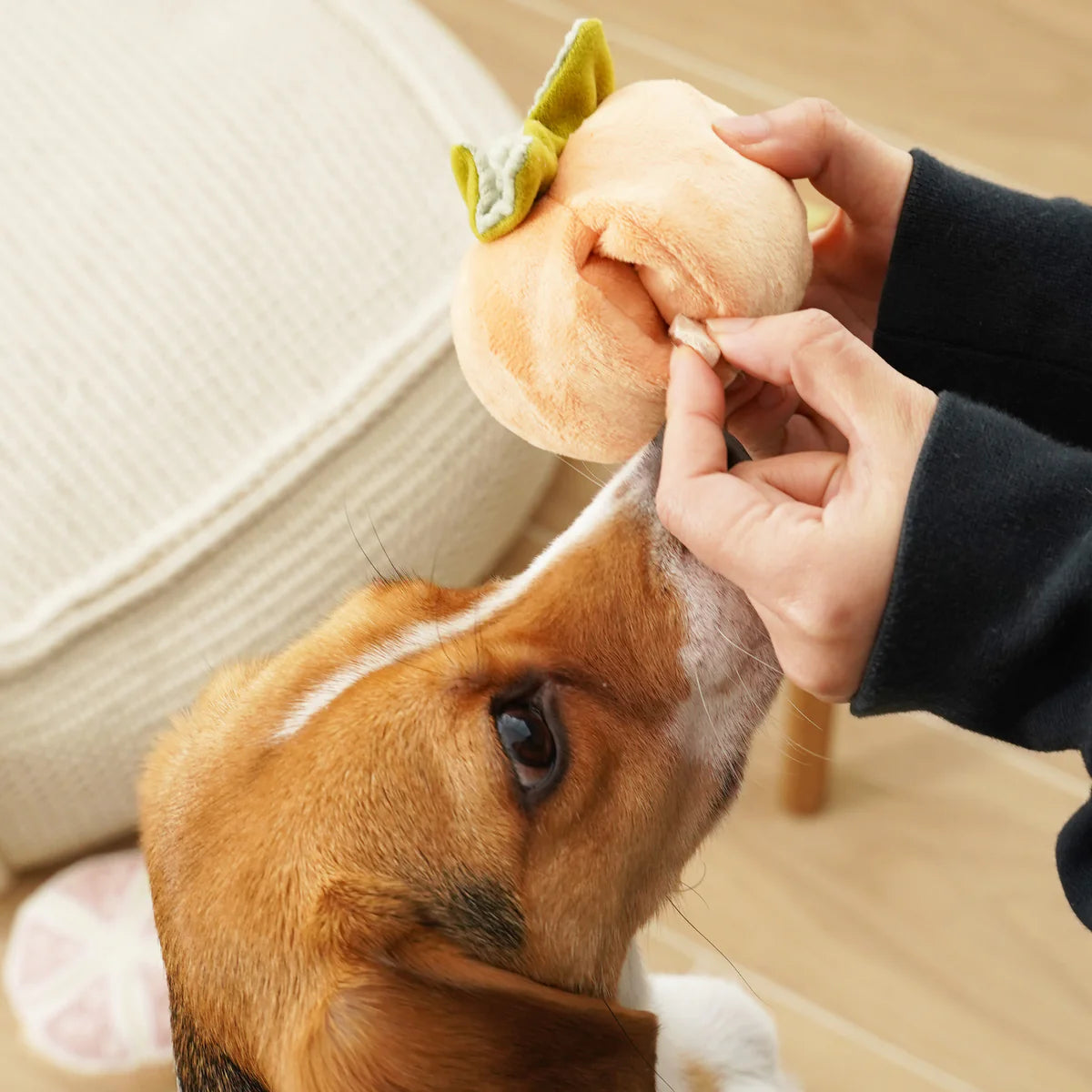 Persimmon Enrichment Dog Toy