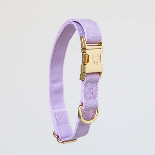 Collier Lavande Pour Chien