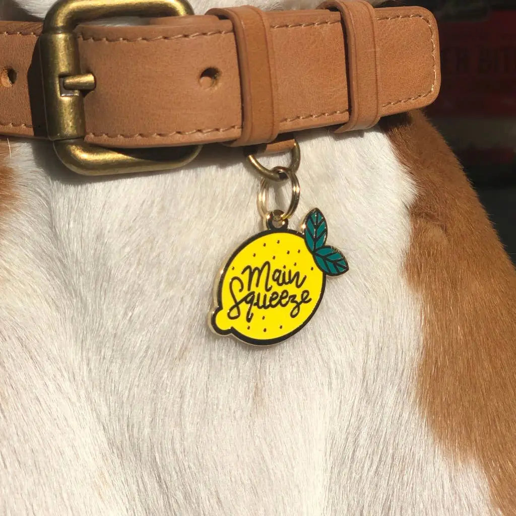 Pet Tag "Main Squeeze"