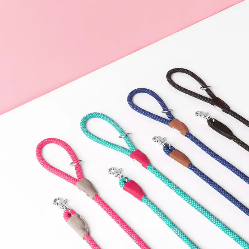 Mod Essentials Leash Aqua