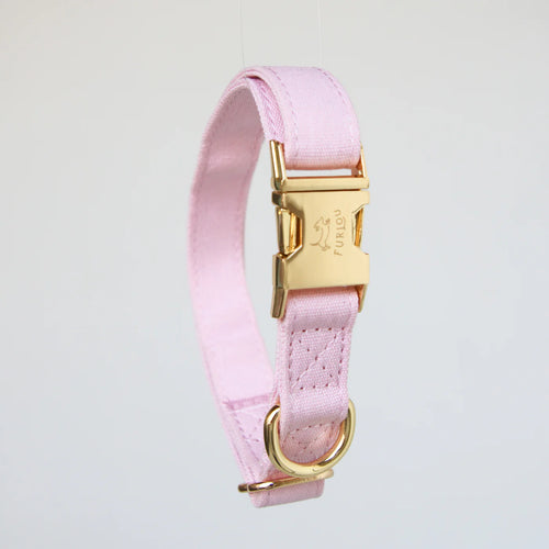 Collier Rose Pastel Pour Chien