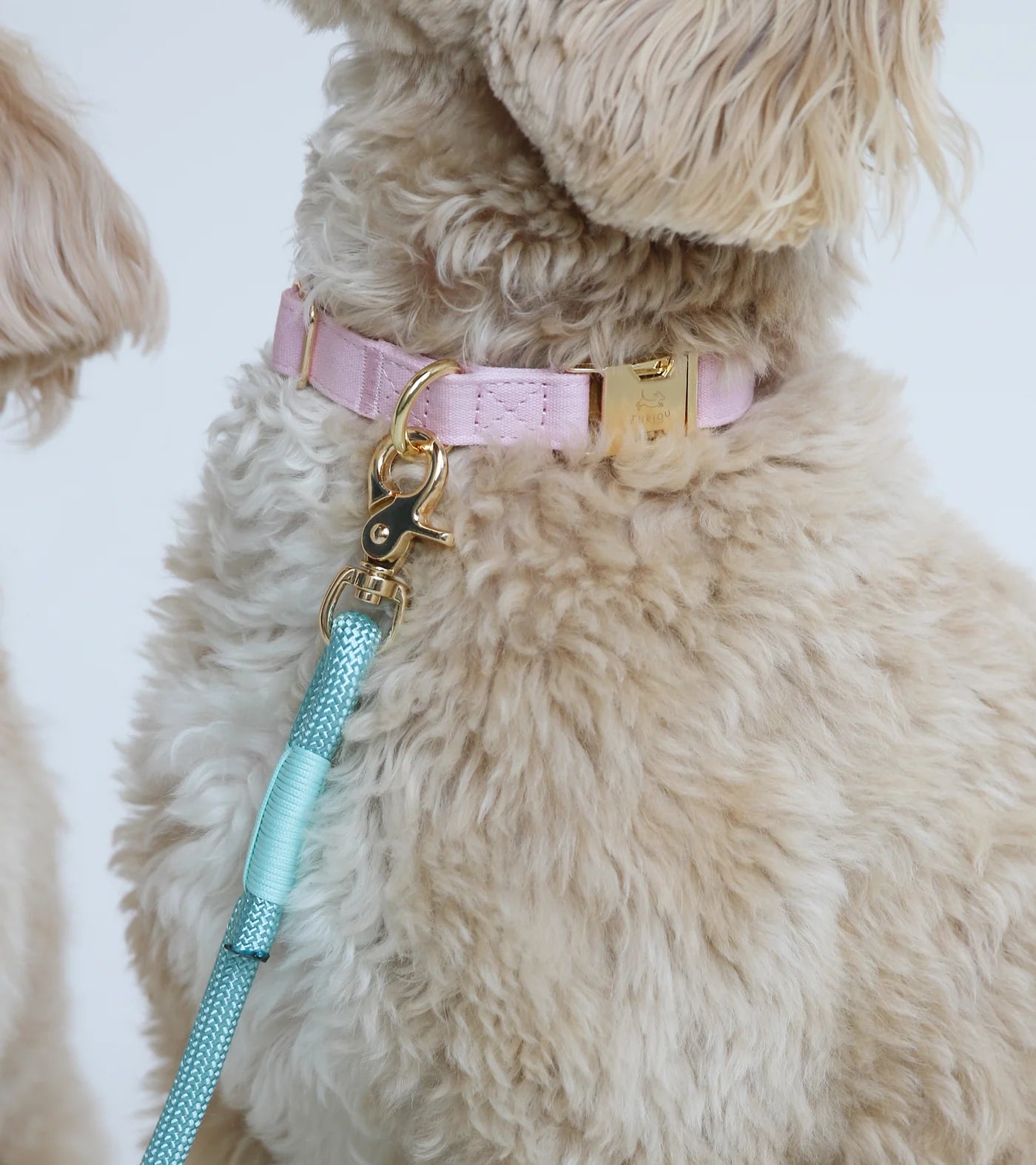 Collier Rose Pastel Pour Chien