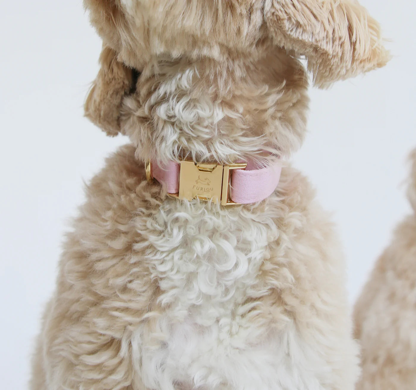 Collier Rose Pastel Pour Chien