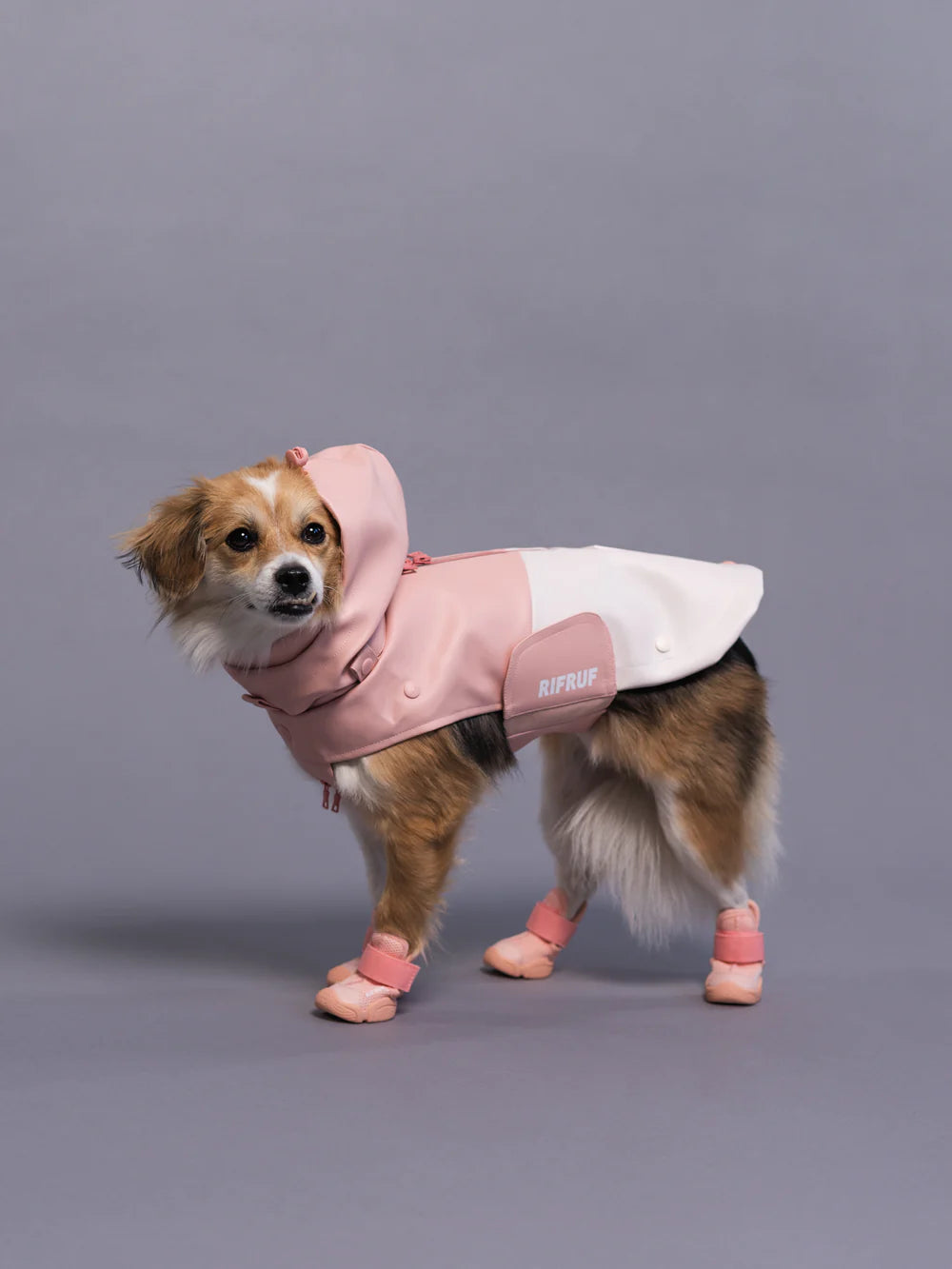 Stormhunter Raincoat Sakura