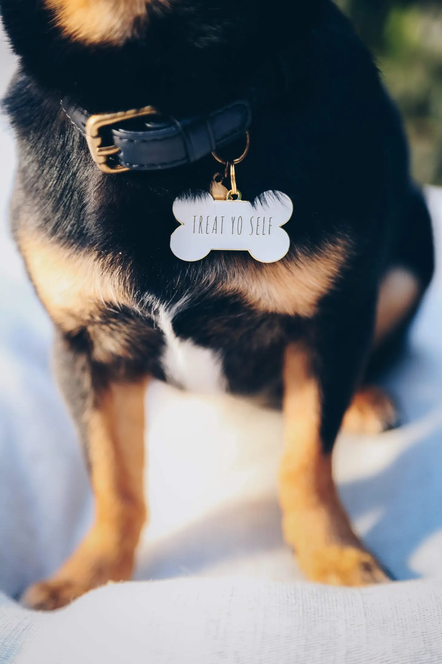 Pet Tag "Treat Yo Self White"