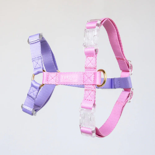 Harnais Licorne Pour Chien