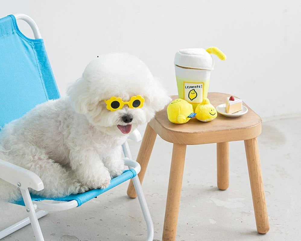 Second Morning Lemonade Nosework Dog Toy