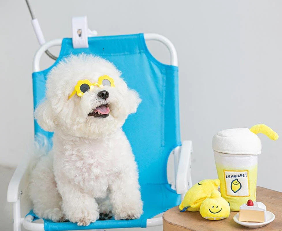 Jouet Interactif Pour Chien Limonade 