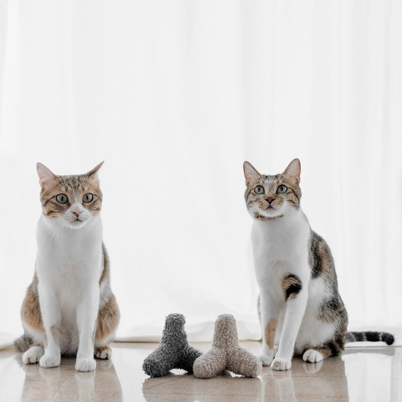 Cat Toy - Kitty Breuer Concrete - Lambwolf Collective - La Maison Mou