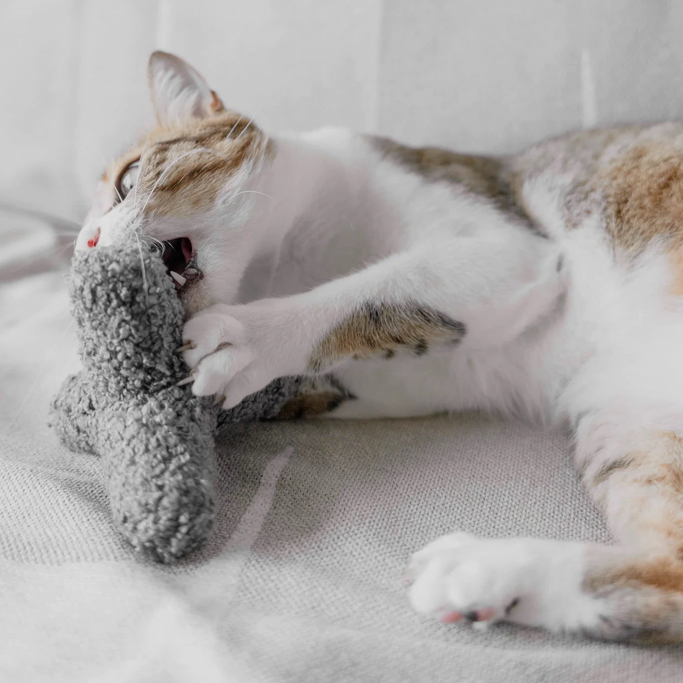 Cat Toy - Kitty Breuer Concrete - Lambwolf Collective - La Maison Mou