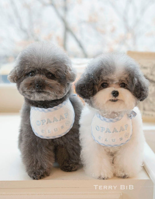 Bavoir Pour Chien – Terry Bleu & Blanc