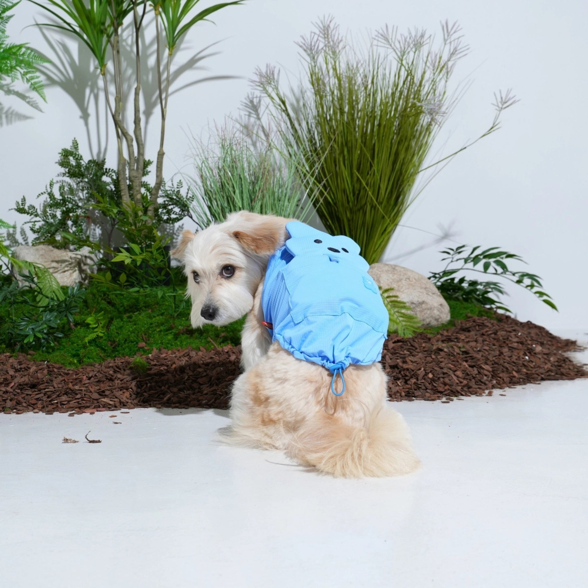 Dog Cooling Tank Top – Big Bear Blue - Puppy Gallery - La Maison Mou