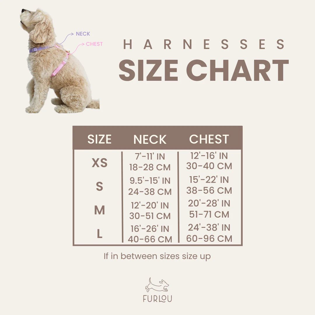 Dog Harness - Puppaccino - Furlou - La Maison Mou