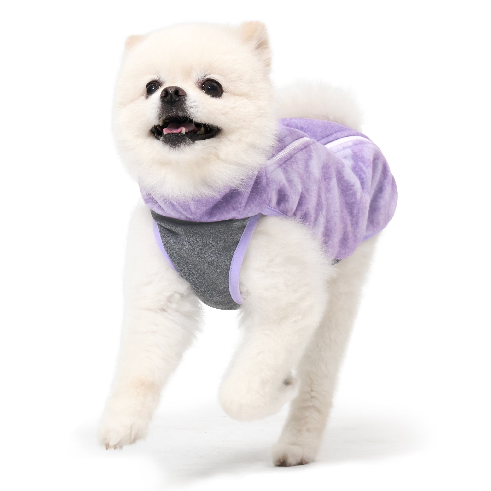 Dog Jacket – Shelter™ Jacket Purple - Merlot - La Maison Mou