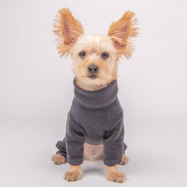 Dog Jumper - All - in - One Grey - Olchi - La Maison Mou