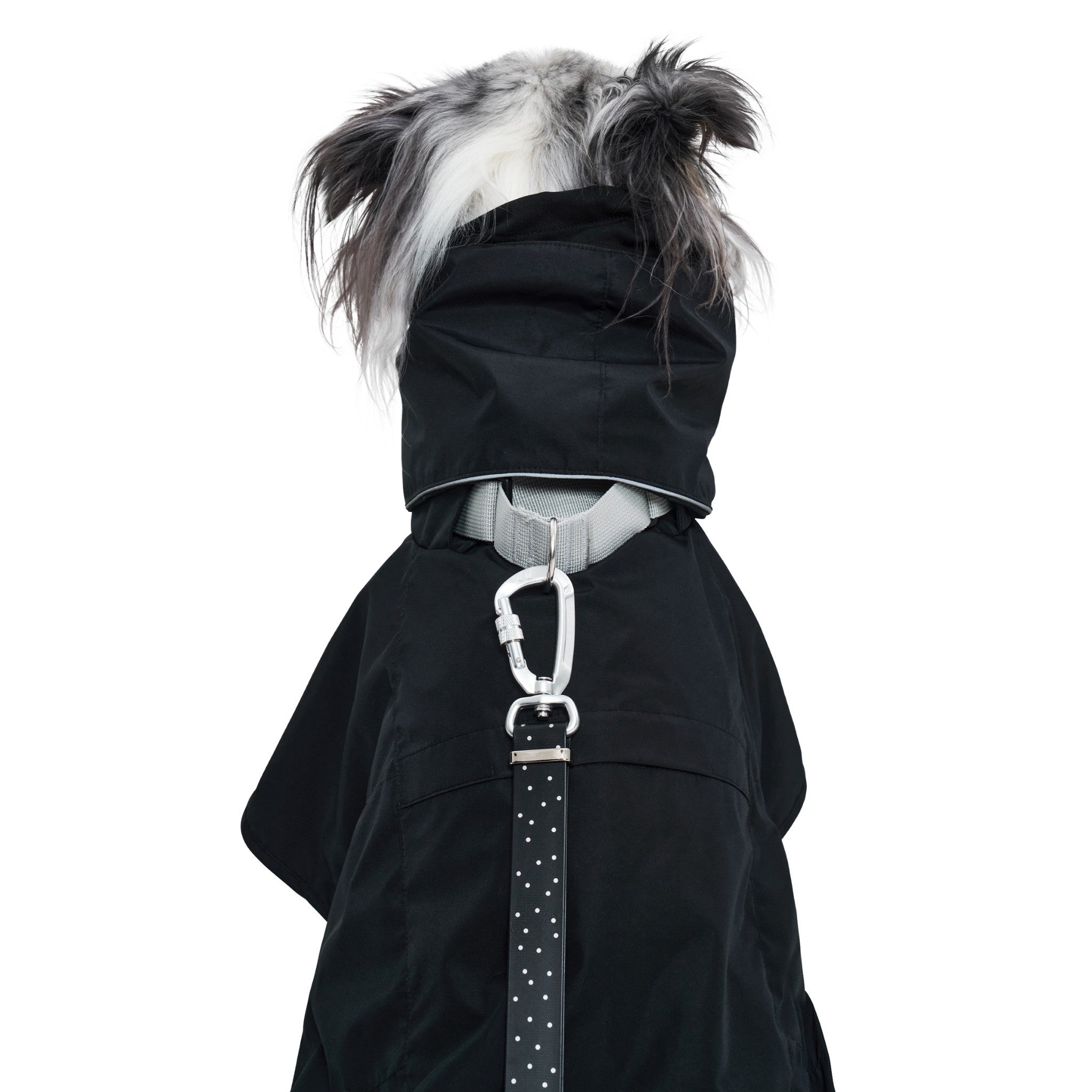 Dog Raincoat - Ain™ Coat Black - Merlot - La Maison Mou